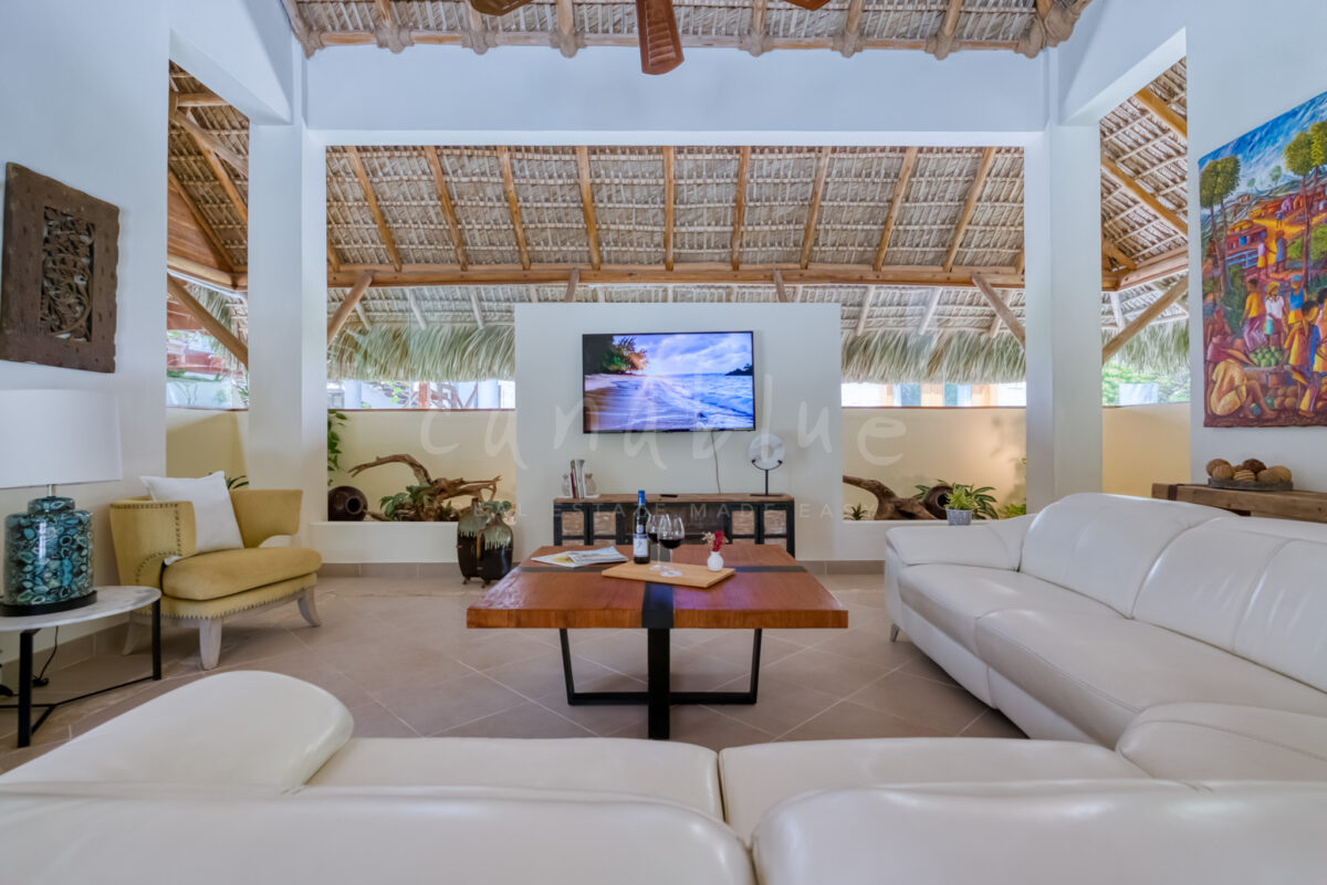 Punta Espada Luxe Villa — photo 7