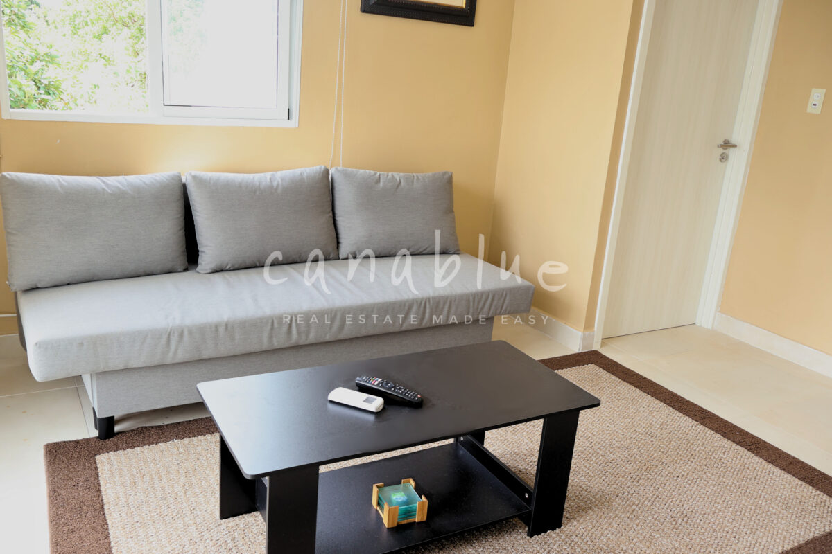 Spacious Condo at Serena — photo 3