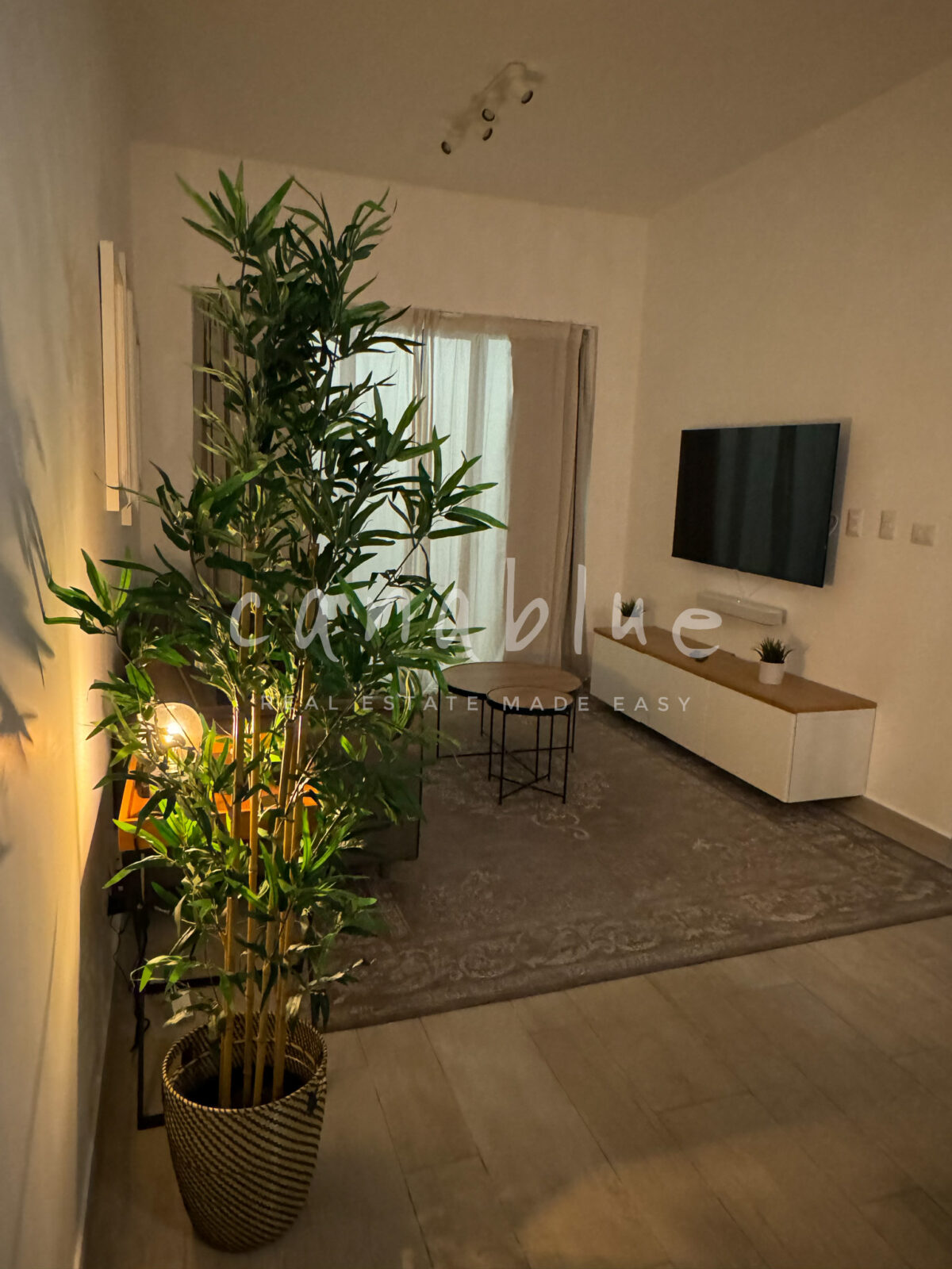 Caribbean Pearl Condo — photo 4