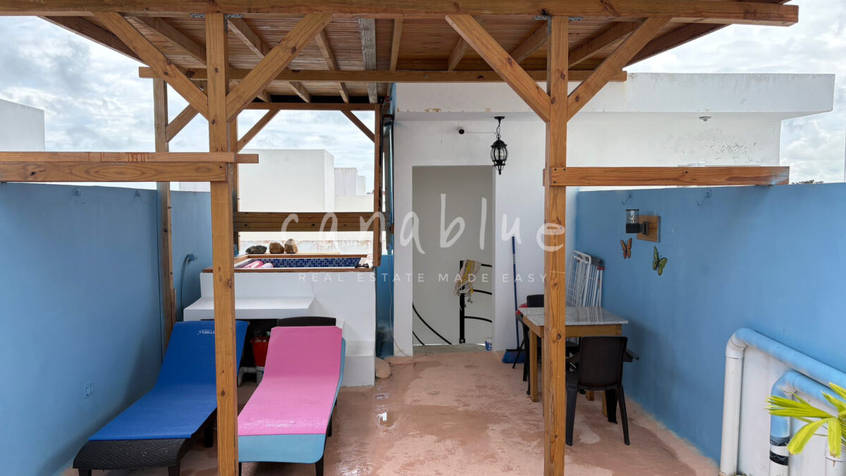 Jacuzzi Terrace Penthouse — photo 11