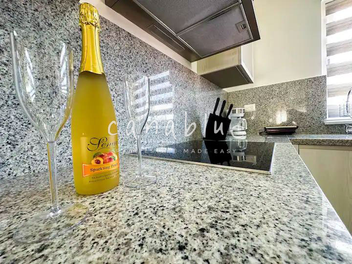 Bright Serenity Penthouse — photo 11
