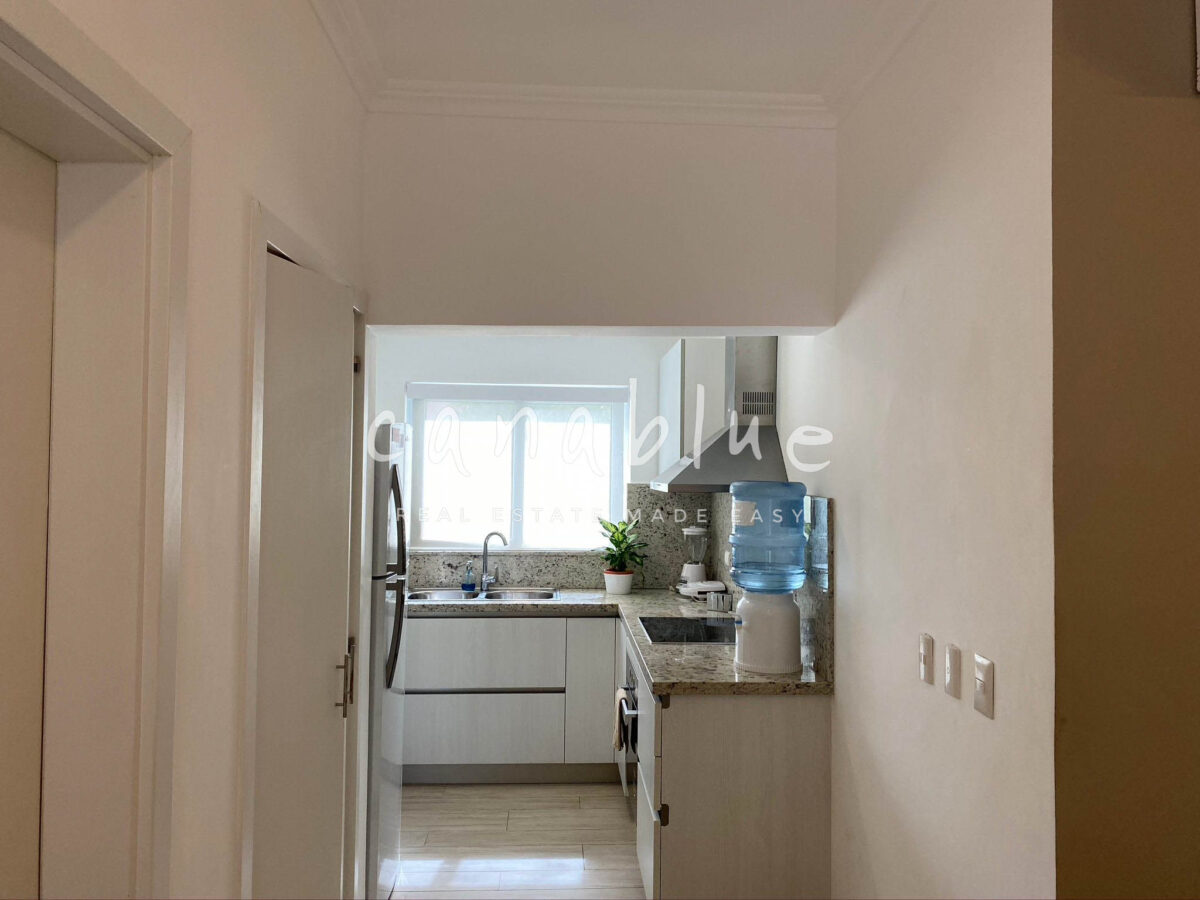 Elegantly Bright Natural Light Condo — photo 9