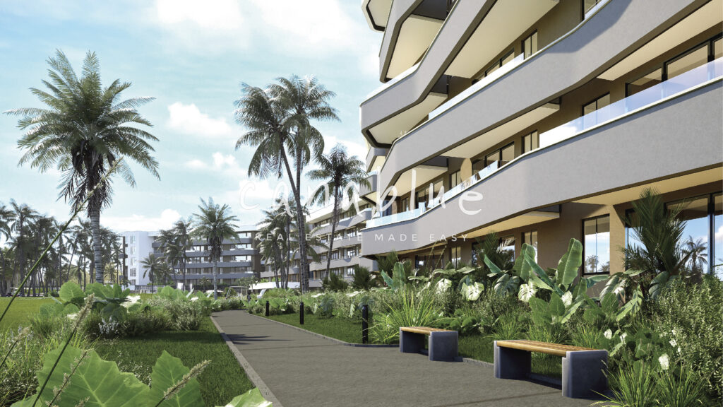 Palm View — photo 4