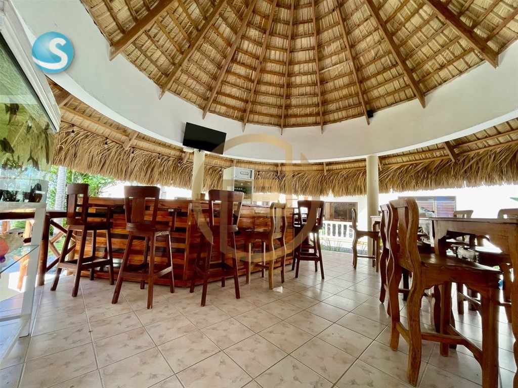 Business in Bávaro — photo 12