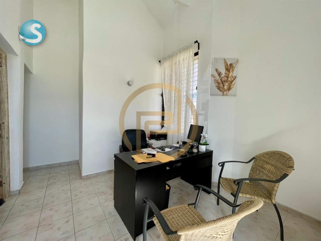 Business in Bávaro — photo 3