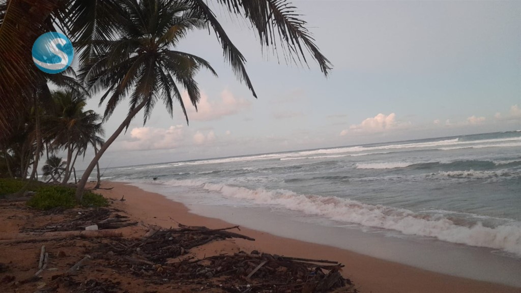 Lot in Bávaro — photo 1