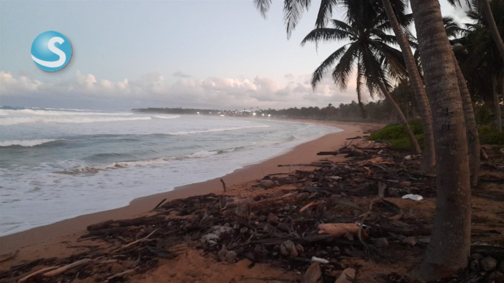 Lot in Bávaro — photo 3
