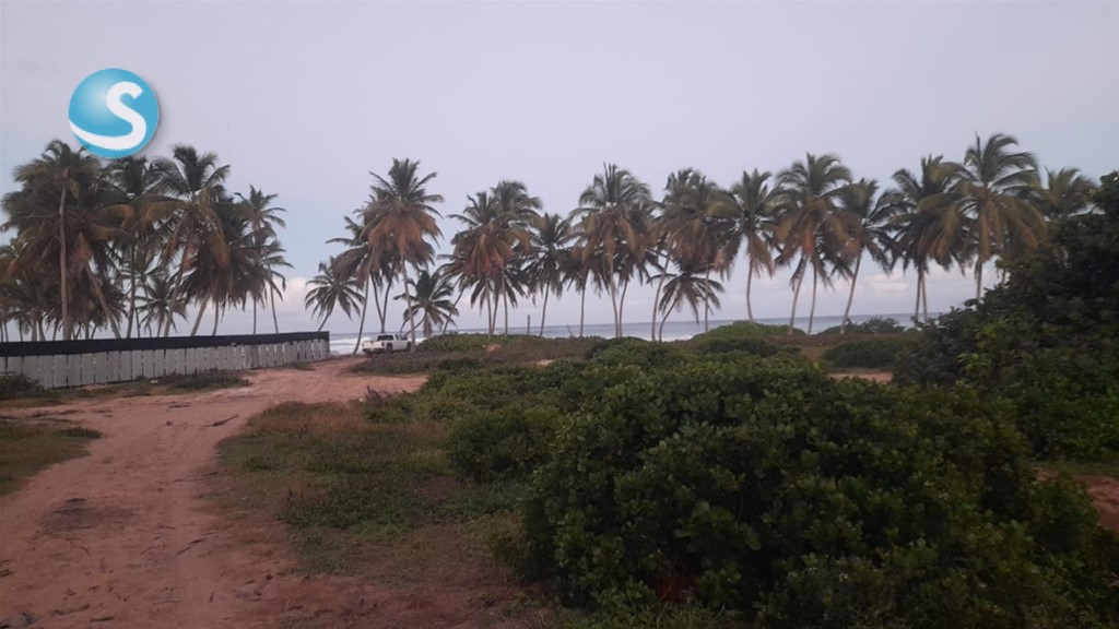 Lot in Bávaro — photo 4