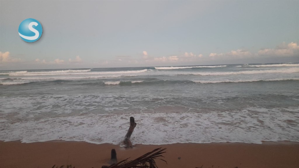 Lot in Bávaro — photo 5