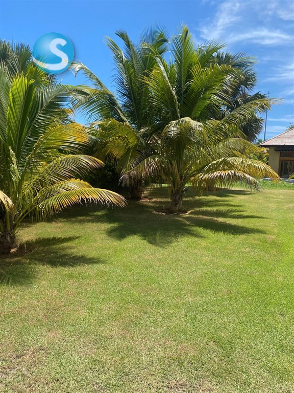 3-Bedroom Villa in Cap Cana — photo 6