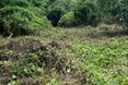 Lot in Vista Cana — photo 10