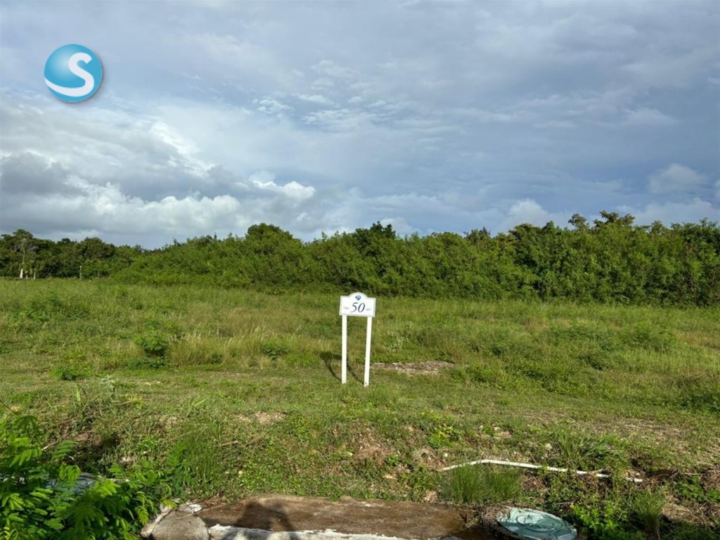 Lot in Cap Cana