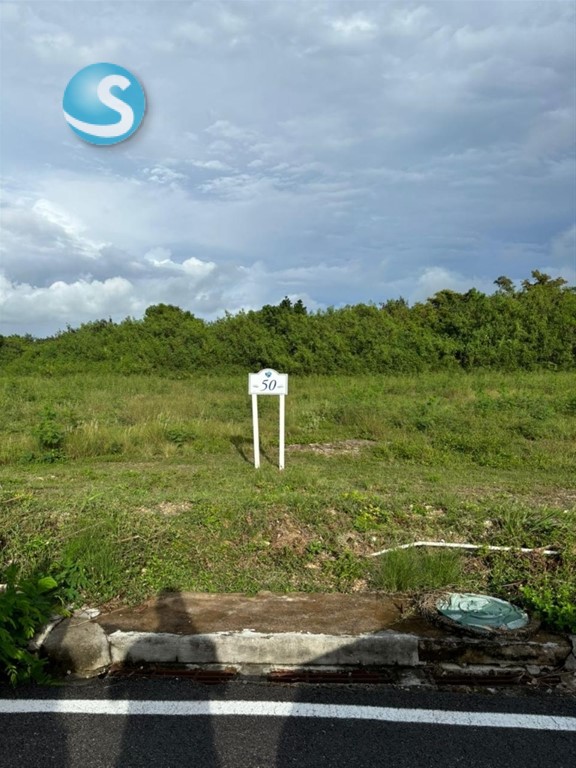 Lot in Cap Cana — photo 2