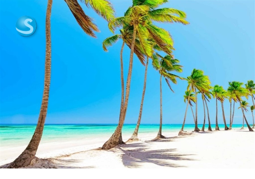 Lot in Cap Cana
