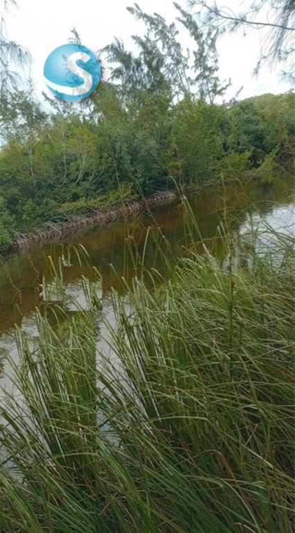 Lot in Cap Cana — photo 4
