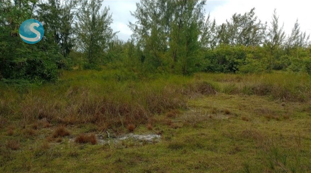 Lot in Cap Cana — photo 5