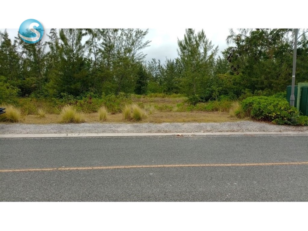 Lot in Cap Cana — photo 9