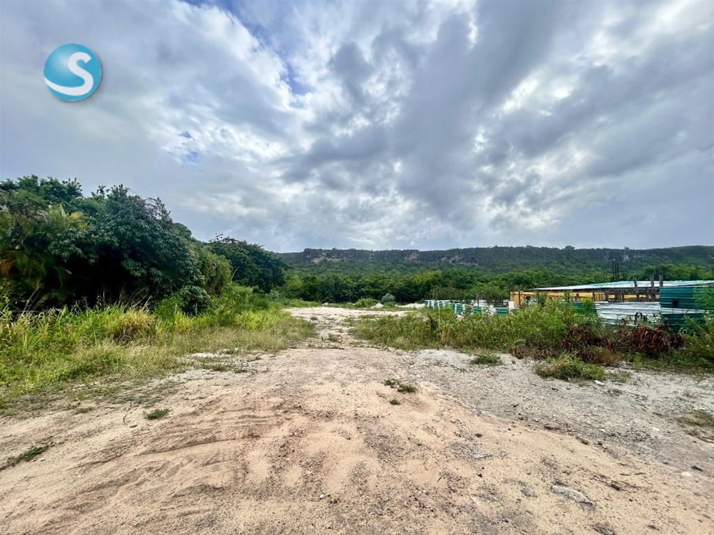 Lot in Cap Cana — photo 4