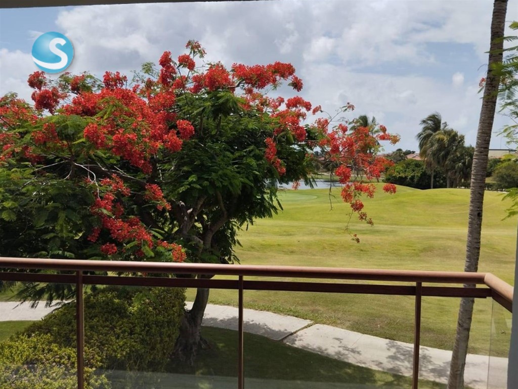 3-Bedroom Apartment in Bávaro — photo 4