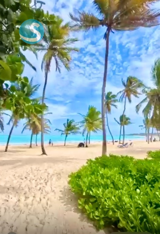 1-Bedroom Apartment in Bávaro — photo 3