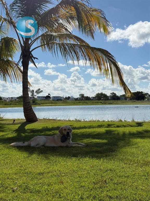 3-Bedroom Apartment in Vista Cana