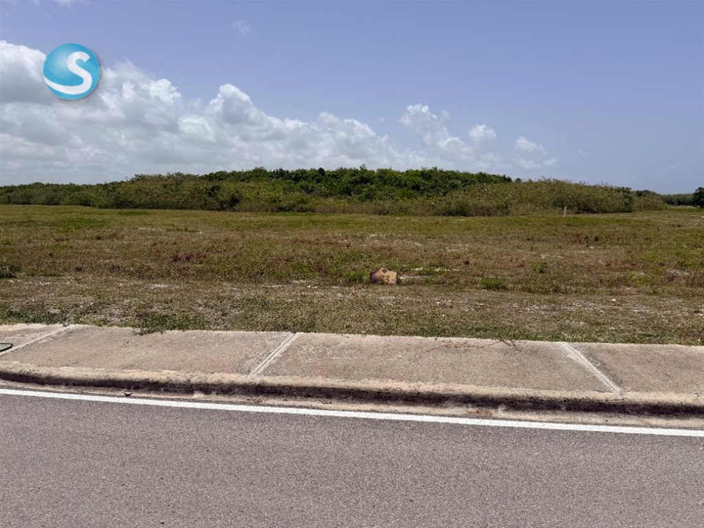 Lot in Cap Cana — photo 2