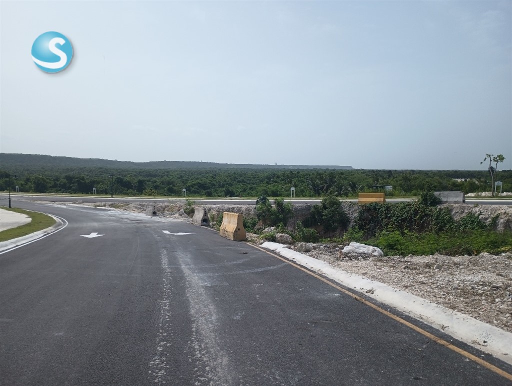 Lot in Cap Cana — photo 4