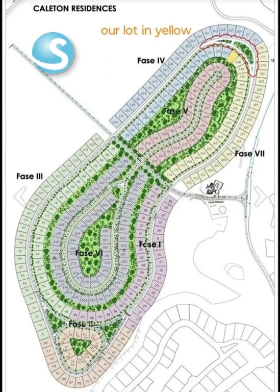 Lot in Cap Cana — photo 10