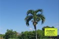 Lot in Uvero Alto — photo 5