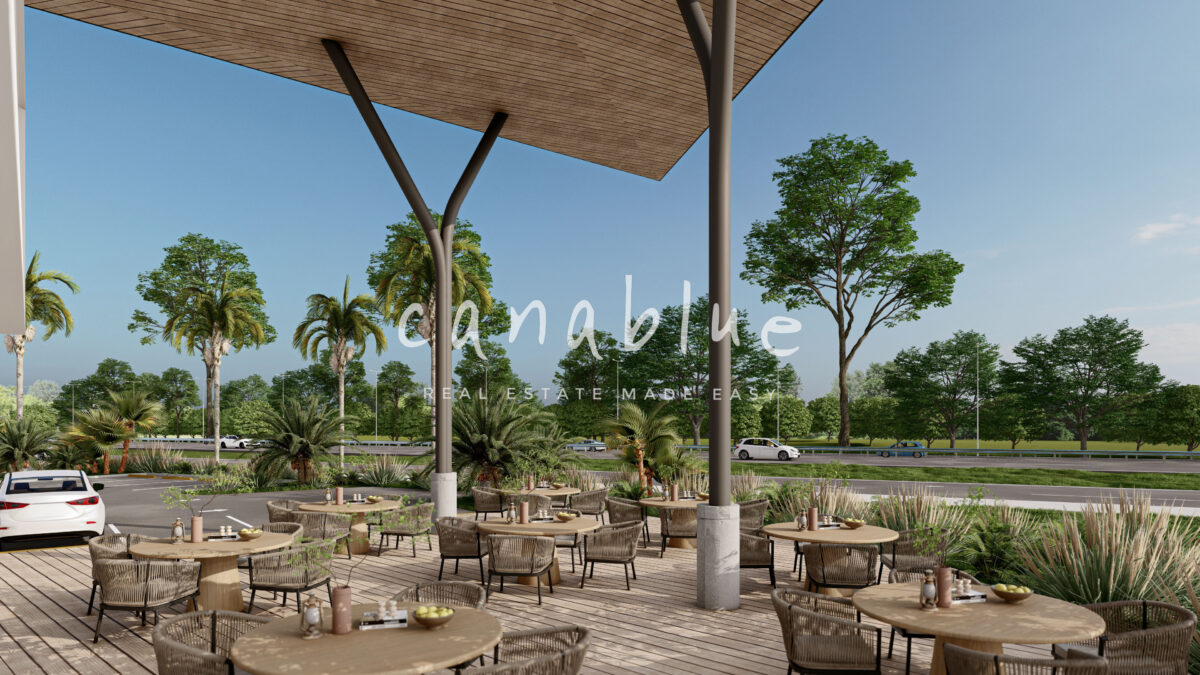 The Plaza Punta Cana — photo 4