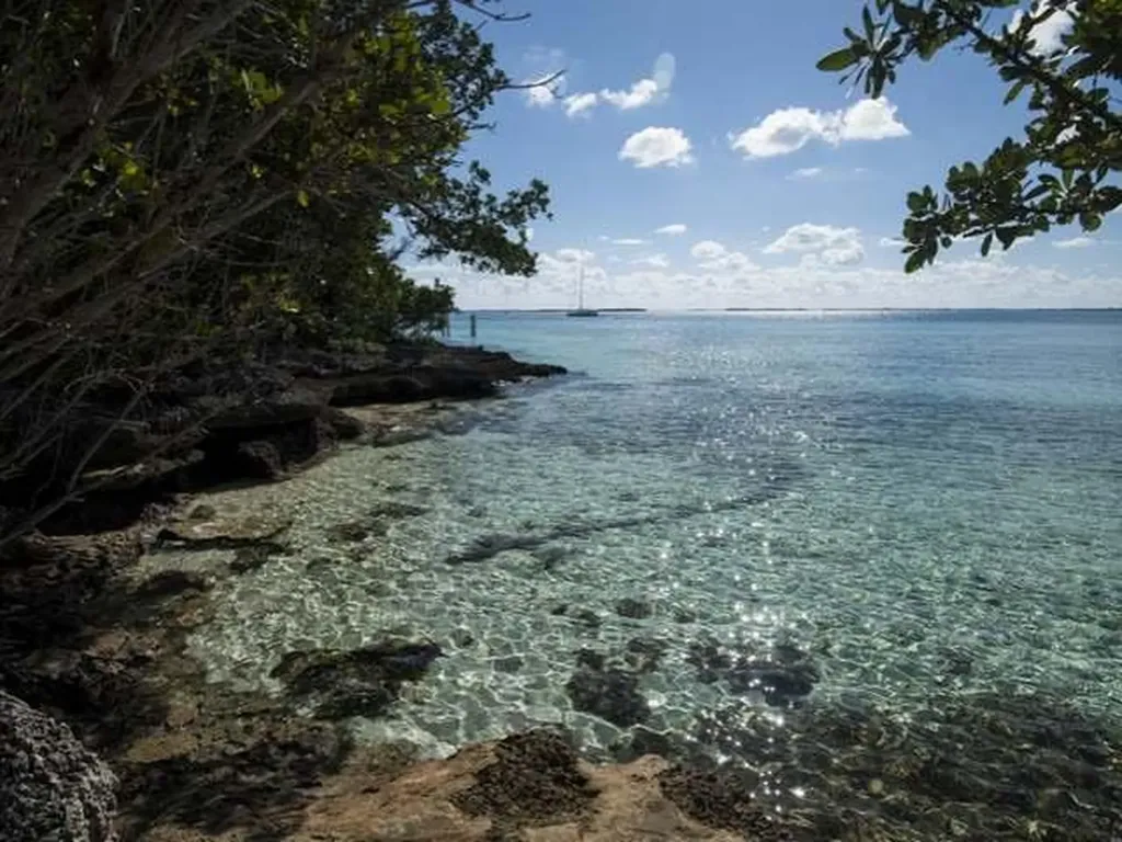 The Reach Abaco BS — photo 4