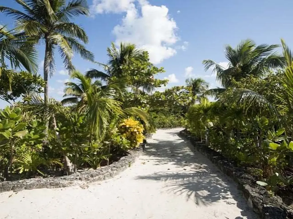 The Reach Abaco BS — photo 6