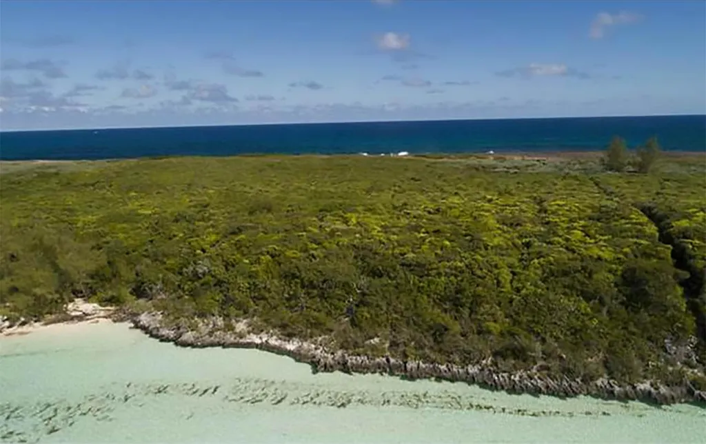 Tilloo Bank Subdivision Lot 2 Abaco BS — photo 9