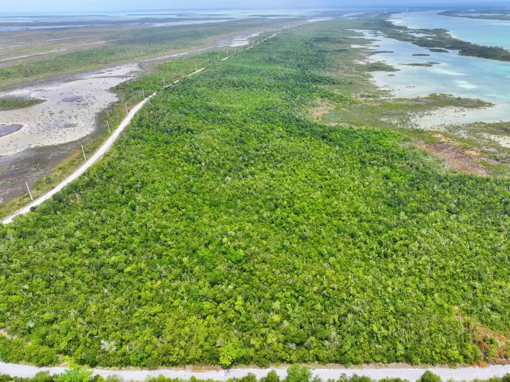 Lot 6 Turtle Cove Abaco BS — photo 4