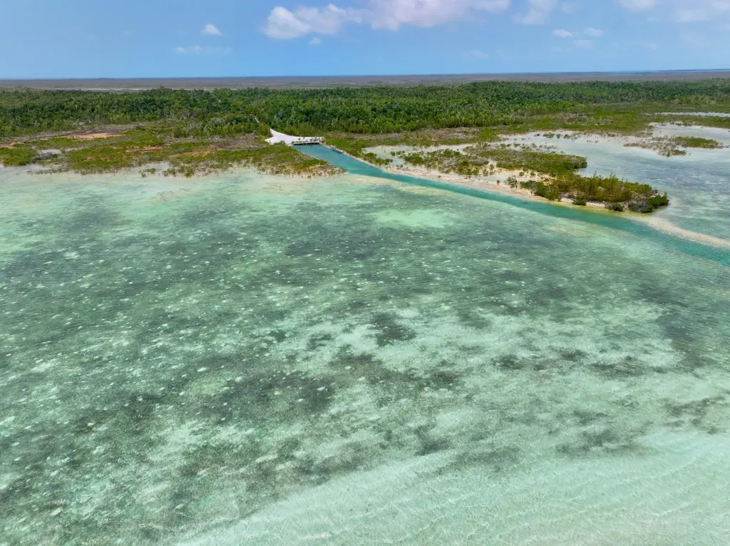 Lot 6 Turtle Cove Abaco BS — photo 6