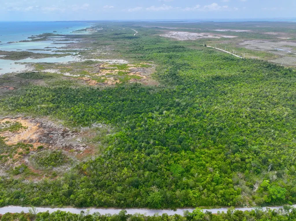 Lot 7 Turtle Cove Abaco BS — photo 6