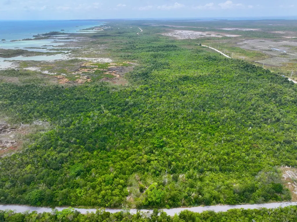 Lot 7 Turtle Cove Abaco BS — photo 7