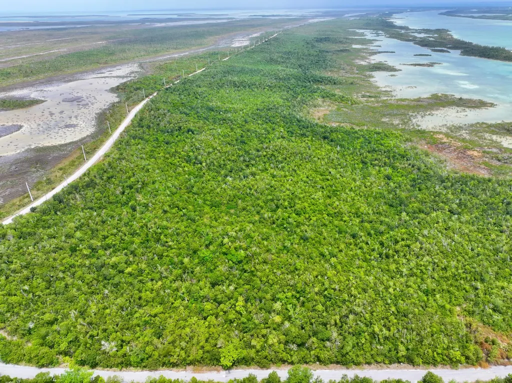 Lot 9 Turtle Cove Abaco BS — photo 8