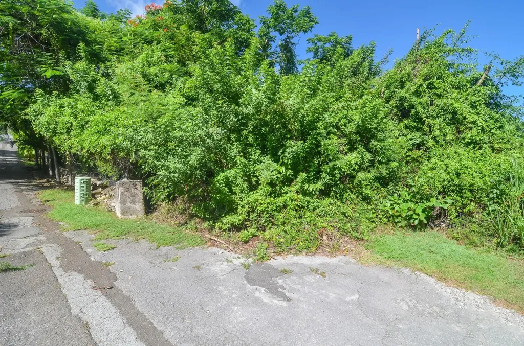 Eastern Road New Providence Paradise Island BS — photo 10