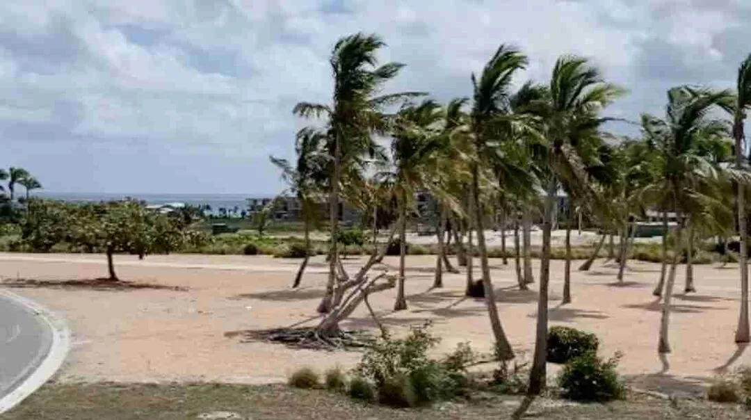 $600k Lot for sale in Cap Cana, Las Palmas, Punta Cana, DR — photo 6
