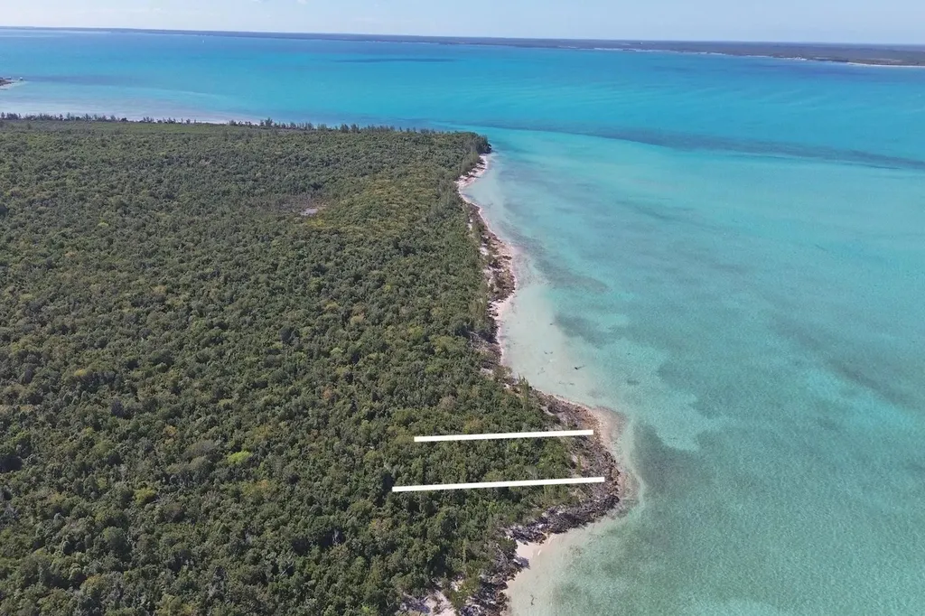 Lot W7 In Jacks Jungle Abaco BS — photo 4