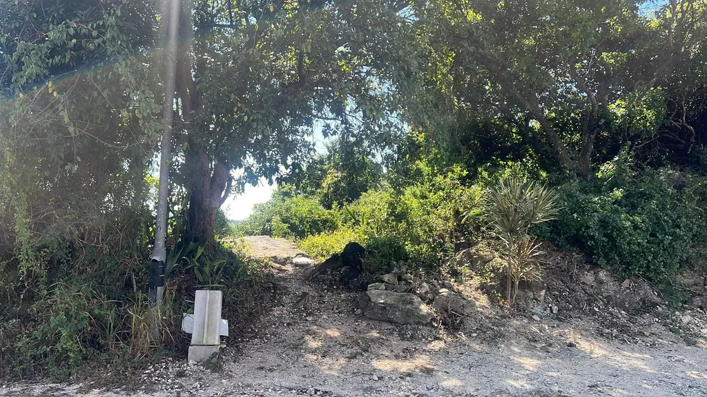 Garden Hills New Providence Paradise Island BS — photo 2