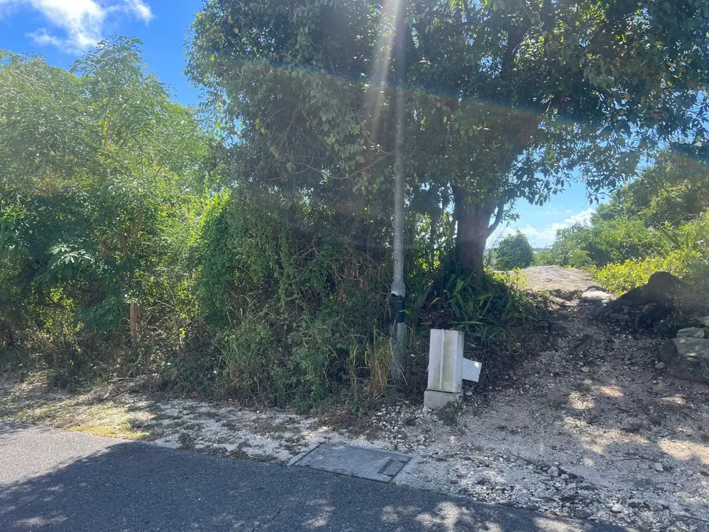Garden Hills New Providence Paradise Island BS — photo 11