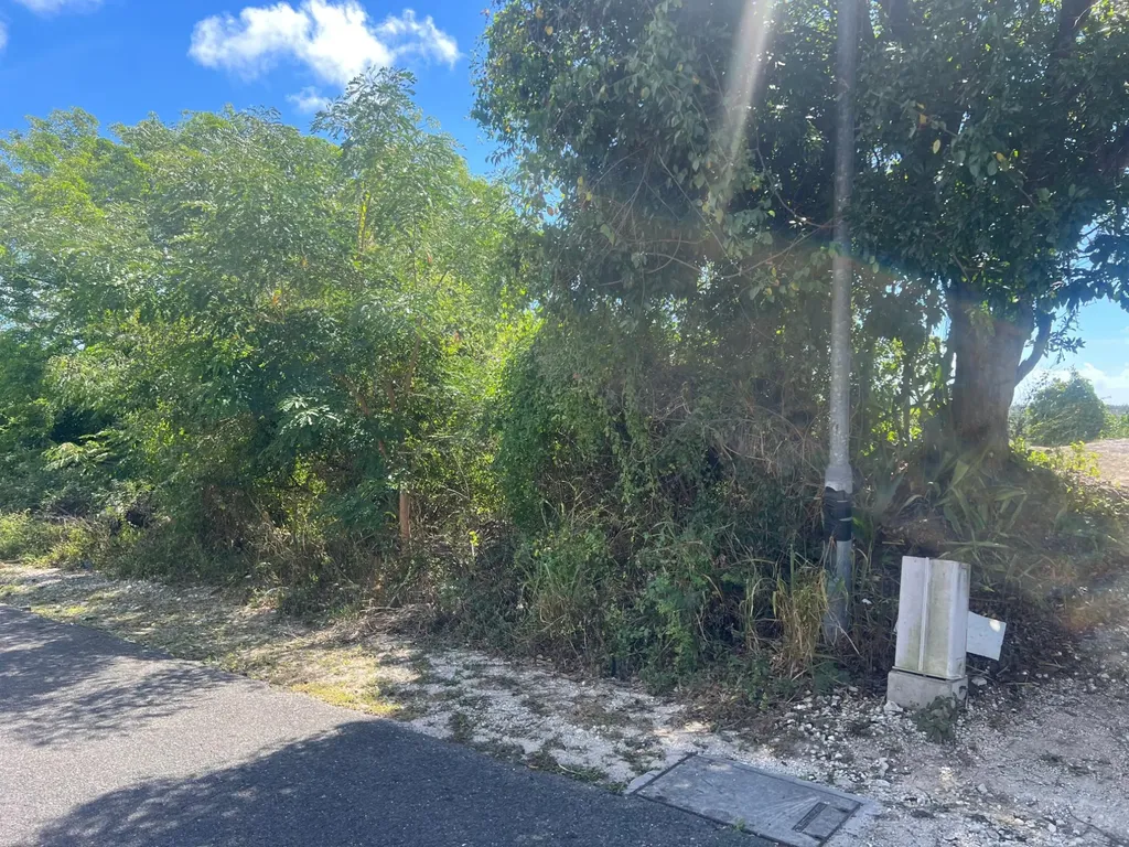 Garden Hills New Providence Paradise Island BS — photo 12