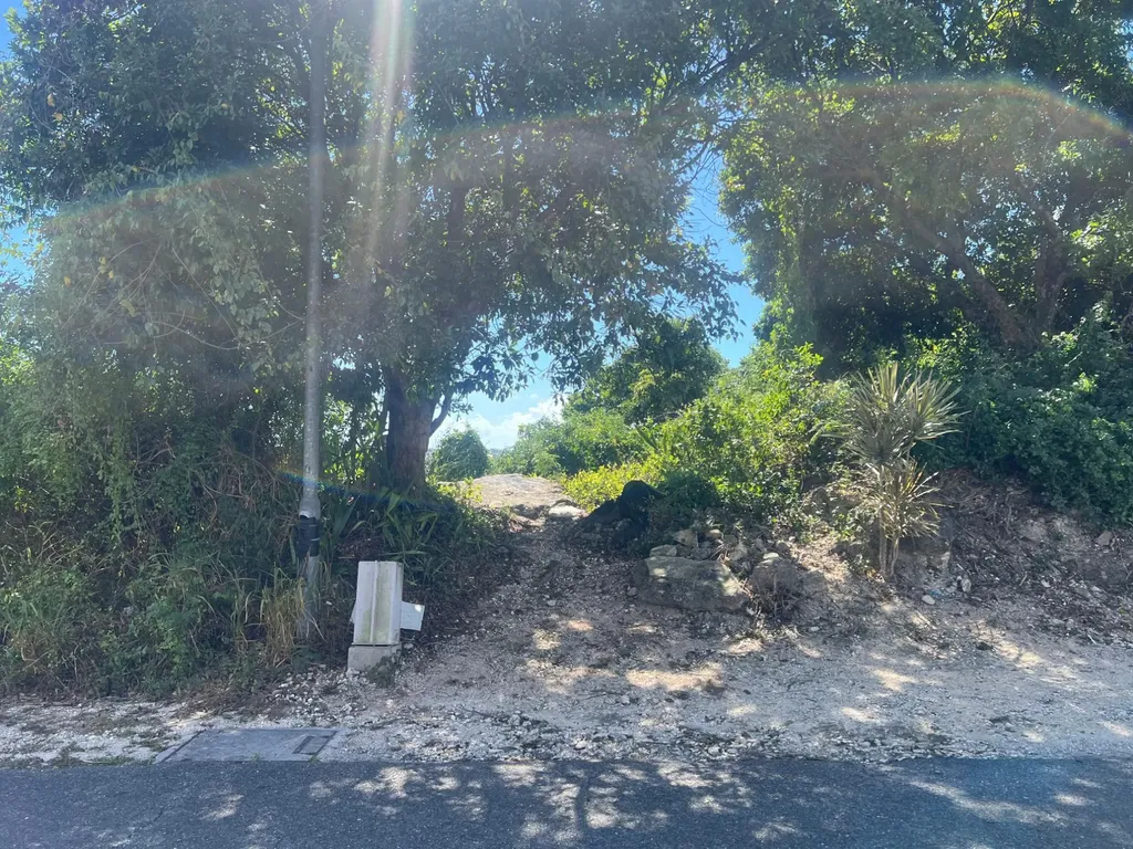 Garden Hills New Providence Paradise Island BS — photo 9