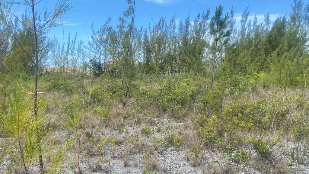 Parcel B Coral Harbor New Providence Paradise Island BS — photo 2