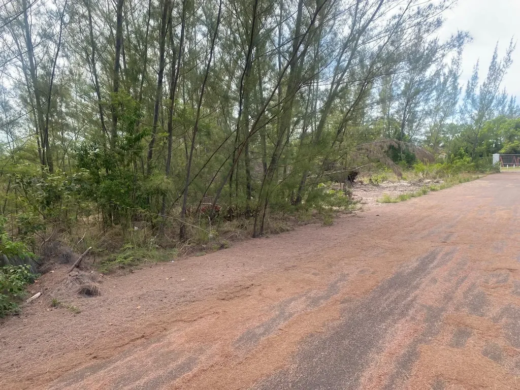 Parcel B Coral Harbor New Providence Paradise Island BS — photo 6