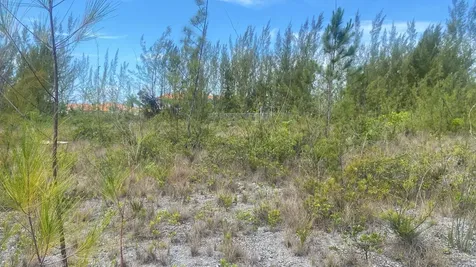 Parcel B Coral Harbor New Providence Paradise Island BS — photo 8