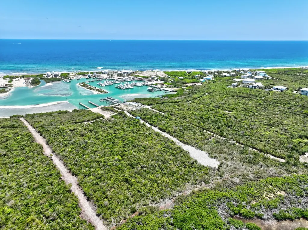 Coconut Lane Lot 2 Abaco BS — photo 2