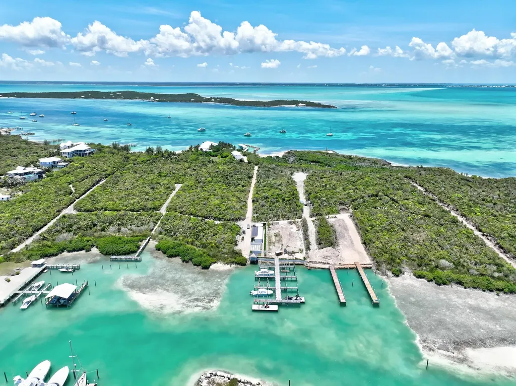 Coconut Lane Lot 2 Abaco BS — photo 3